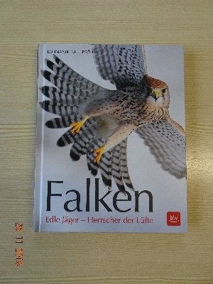 "Falken" Edle Jäger- Herrscher der Lüfte von Lohmann Nill Pröhl